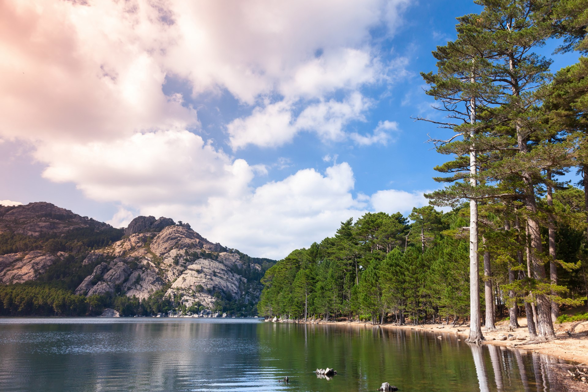 Forêt et lac de l'Ospedale Corse