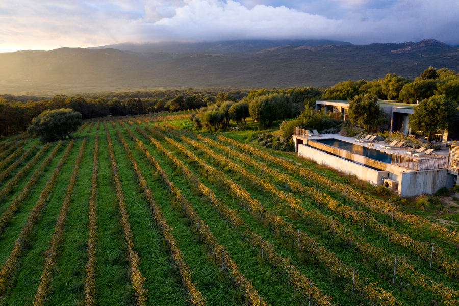 Vignoble de Figari vins corses AOP