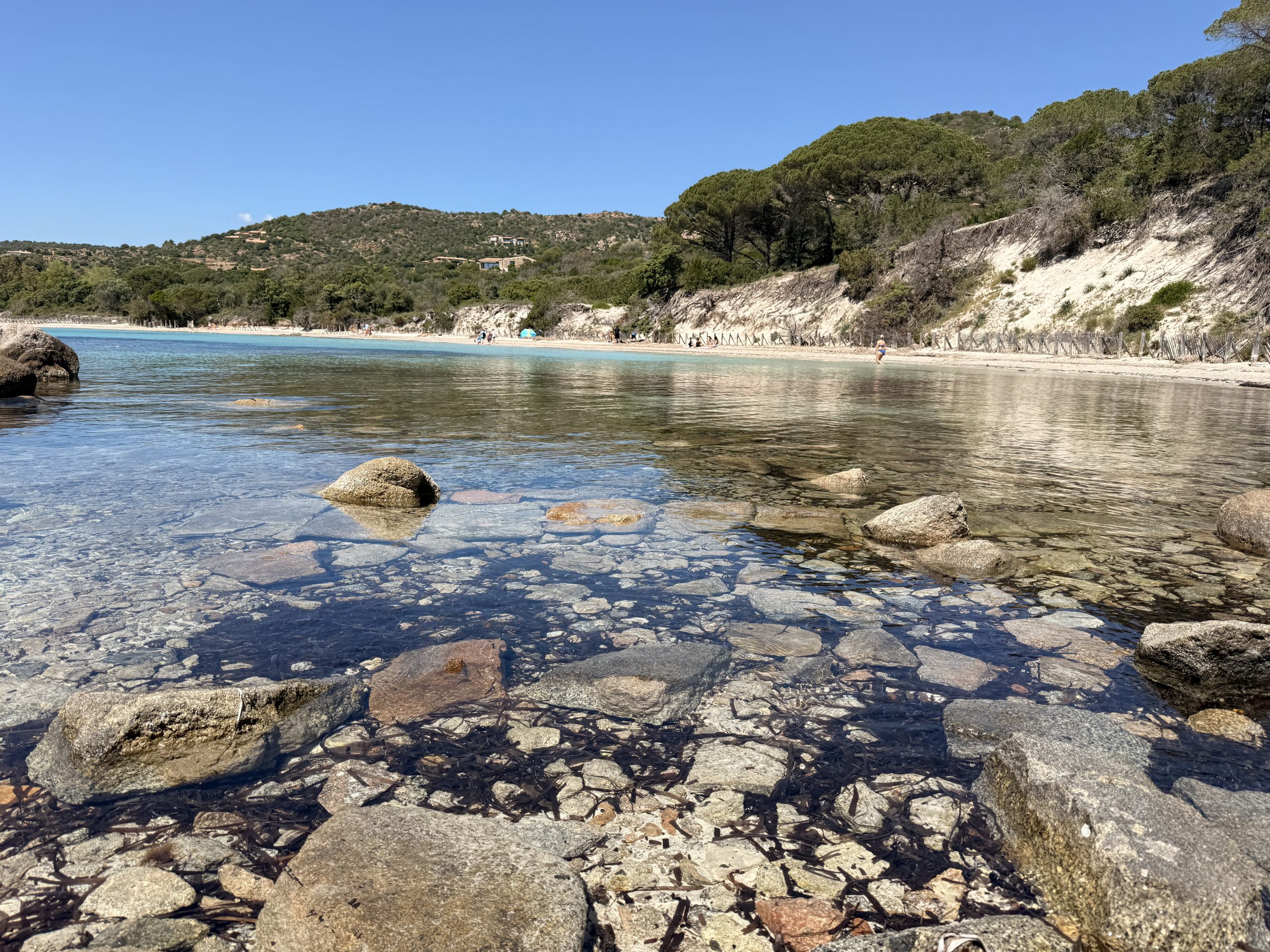 Plage de Palombaggia Porto-Vecchio