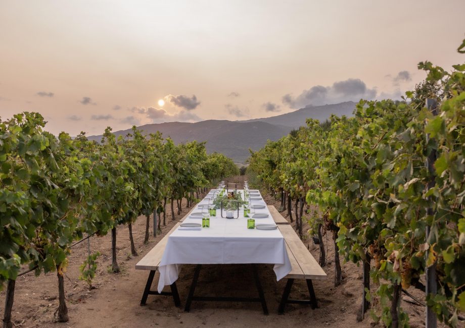 Nos restaurants préférés autour des villas